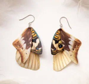 Funky Whimsigoth Moth Wing Earrings