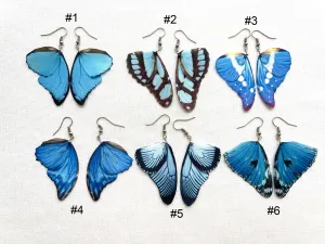 Royal Blue Butterfly Wing Earrings