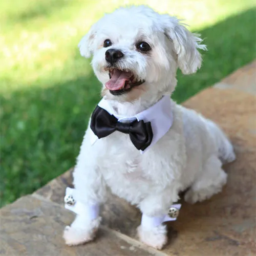 White Shirt Collar   Black Bow Tie   Cuffs